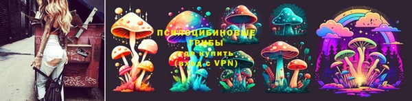 2c-b Алексин