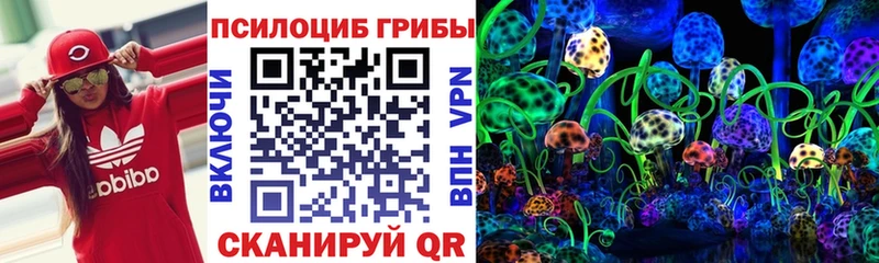 Псилоцибиновые грибы GOLDEN TEACHER  Уфа 